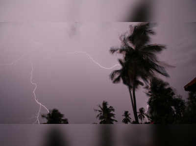 Gaja Cyclone Warning: கஜா புயலால் 20 செ.மீ. வரை கனமழை பெய்யும் - வானிலை மையம்