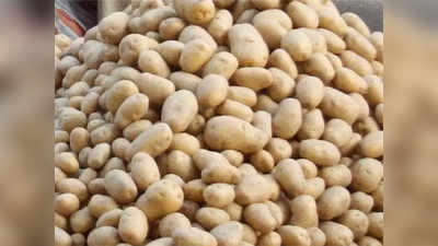 बटाट्याच्या दरात वाढ