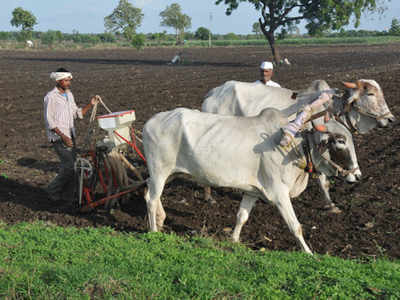 ರೈತರ ಮೇಲೆ ಕಠೋರ ನಡೆ ಸಲ್ಲದು