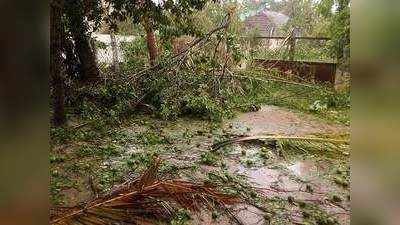 Cyclone Gaja Landfall Death:  புரட்டி போட்ட கஜா புயல் தமிழகத்தில் 8 பேர் பலி!