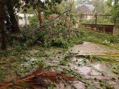 Cyclone Gaja Landfall Death:  புரட்டி போட்ட கஜா புயல் தமிழகத்தில் 8 பேர் பலி!