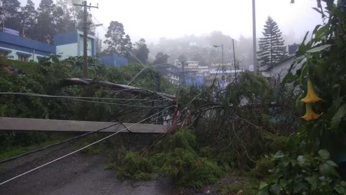 கொடைக்கானல்