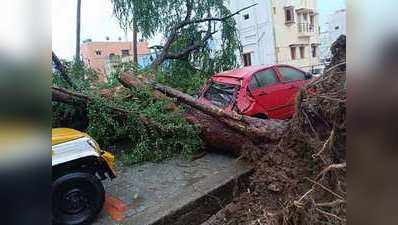 Cyclone Gaja: மதம் கொண்ட‘கஜா’ போட்ட ருத்ரதாண்டவத்த பாருங்க.... புகைப்படங்கள்!
