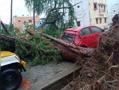 Cyclone Gaja: மதம் கொண்ட‘கஜா’ போட்ட ருத்ரதாண்டவத்த பாருங்க.... புகைப்படங்கள்!