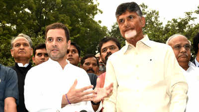 Rahul Gandhi: ‘సైకిల్‌’పై రాహుల్.. చంద్రబాబుతో కలిసి రోడ్ షో!