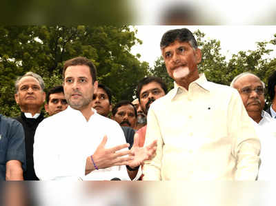 Rahul Gandhi: ‘సైకిల్‌’పై రాహుల్.. చంద్రబాబుతో కలిసి రోడ్ షో!