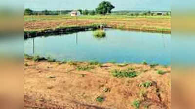 मराठवाड्यात ३५ हजार शेततळी पूर्ण