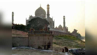 ताजमहल की मस्जिद में पहुंचकर महिलाओं ने की पूजा