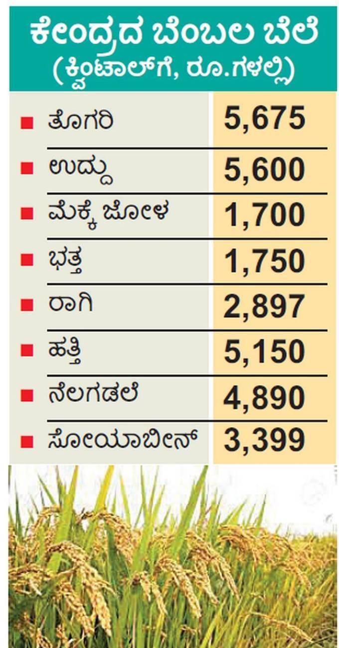 ಕೇಂದ್ರದ ಬೆಂಬಲ ಬೆಲೆ