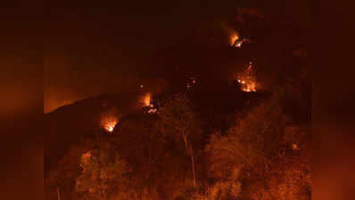 कैलिफॉर्निया: जंगलों में लगी आग से मरने वालों की तादाद 76 पहुंची