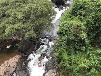 വാട്ടഫാൾ പാരഡൈസ്തുഷാരഗിരിയിലേക്കൊരു വൺഡേ ട്രിപ്പ്