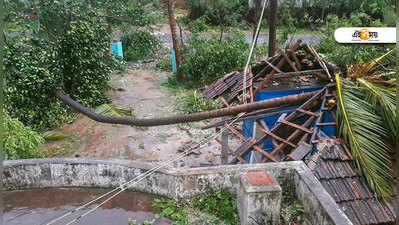 Cyclone Gaja: ঘূর্ণিঝড় গজ-র বলি বেড়ে ৪৫, মরল ৭০০ পশু