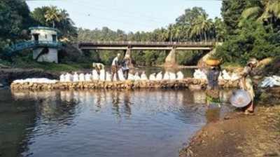 ಅಂರ್ತಜಲ ಕುಸಿತ: ಕಟ್ಟ ನಿರ್ಮಿಸುವತ್ತ ಕೃಷಿಕರು