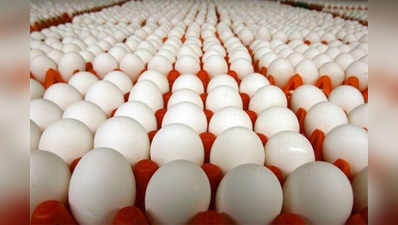 दीड लाख अंड्यांनी भरलेला ट्रक पळवला