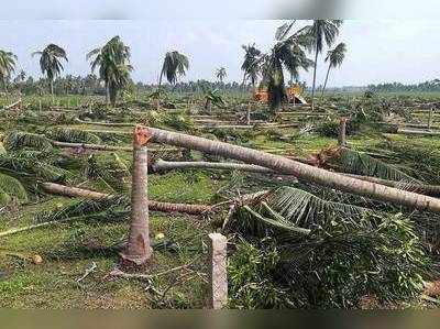 63 ஆயிரம் ஏக்கர் நிலம், 43 லட்சம் மரங்களை நாசம் செய்த கஜா புயல்!