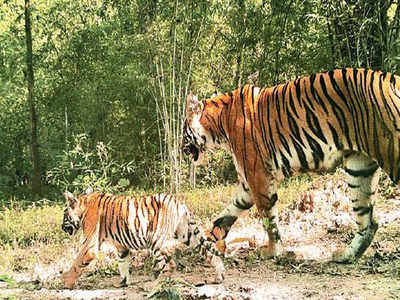 वन्यजीव कायदा रद्द करण्याची रघुनाथ पाटील यांची मागणी