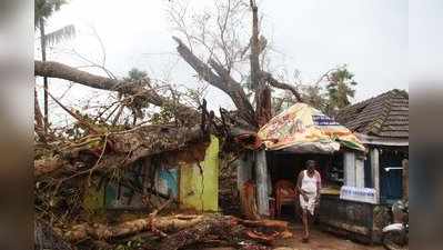 Gaja Cyclone: 4 லட்சம் மக்களை வீடு வாசல் இல்லாதவர்களாக மாற்றிய கஜா! கண்ணீர் சிந்தும் டெல்டா!!