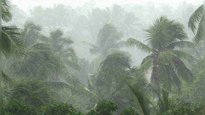 ശക്തമായ മഴയ്ക്കും കാറ്റിനും സാധ്യത; രണ്ട് ജില്ലകളില്‍ ജാഗ്രതാ നിര്‍ദ്ദേശം