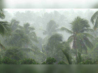 ശക്തമായ മഴയ്ക്കും കാറ്റിനും സാധ്യത; രണ്ട് ജില്ലകളില്‍ ജാഗ്രതാ നിര്‍ദ്ദേശം