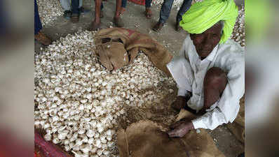 मध्य प्रदेश में किसानों की नाराजगी, कहा- ‘एक बार और मोदी को वोट दे दिया तो लहसुन फेंकना पड़ेगा’
