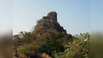 ಕಣ್ಮನ ಸೆಳೆವ ಕರ್ನಾಲ ಪಕ್ಷಿಧಾಮ