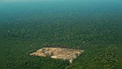 ലോകത്തിന് ഭീഷണിയായി ആമസോണ്‍ വനനശീകരണം