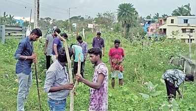 Gaja Cyclone: விழுந்த மரங்களை மீண்டும் வளர்த்தெடுக்க என்ன செய்யலாம்?