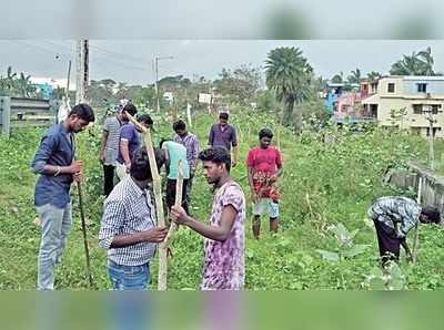 Gaja Cyclone: விழுந்த மரங்களை மீண்டும் வளர்த்தெடுக்க என்ன செய்யலாம்?