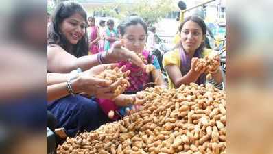 ಕಡಲೆ ಕಾಯಿ ಪರಿಷೆಗೆ ದಿನಗಣನೆ