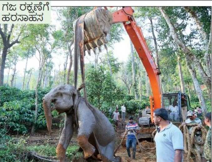 ಆನೆ ರಕ್ಷಣೆಗೆ ಹರಸಾಹಸ