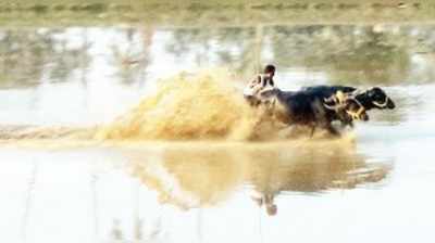 ಮಣೂರು, ವಂಡಾರು ಇತಿಹಾಸ ಪ್ರಸಿದ್ಧ ಕಂಬಳ