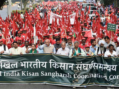 बळीराजाला मिळालं विद्यार्थी-प्राध्यापकांचं बळ