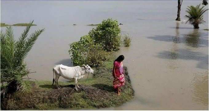 ಮುಳುಗುತ್ತಿರುವ ದ್ವೀಪ