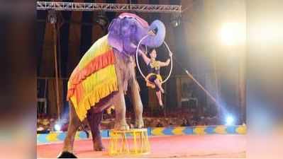Circus Animals: சர்க்கஸில் இனி எந்த மிருகங்களையும் பயன்படுத்தக் கூடாது- வருகிறது புதிய உத்தரவு..!!
