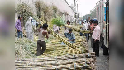 गन्ना किसानों को किया गया 43 हजार करोड़ का भुगतान