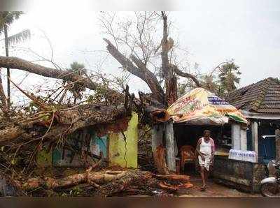 ഗജ: തമിഴ്നാടിന് 353.7 കോടി കേന്ദ്രസഹായം പ്രഖ്യാപിച്ചു