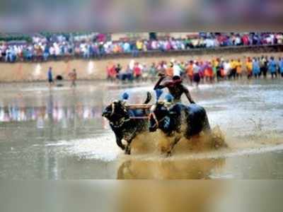 ಐತಿಹಾಸಿಕ ತಗ್ಗರ್ಸೆ ಕಂಬಳೋತ್ಸವ ಸಂಪನ್ನ