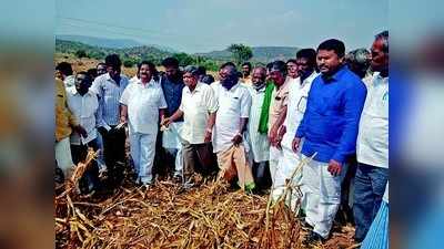 ಮಾಜಿ ಸಿಎಂ ಶೆಟ್ಟರ್‌ರಿಂದ ಬರ ಅಧ್ಯಯನ