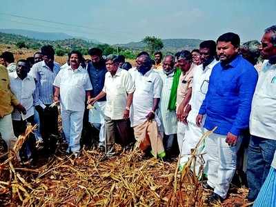 ಮಾಜಿ ಸಿಎಂ ಶೆಟ್ಟರ್‌ರಿಂದ ಬರ ಅಧ್ಯಯನ