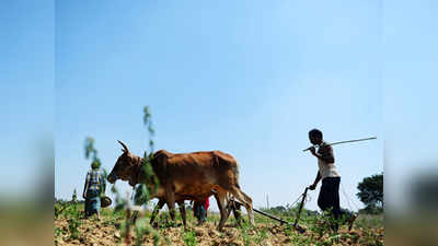 अतिवृष्टीग्रस्त शेतकऱ्यांना अडीच वर्षांनी भरपाई