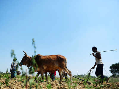 अतिवृष्टीग्रस्त शेतकऱ्यांना अडीच वर्षांनी भरपाई