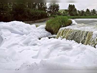 ಕೆರೆಗಳ ಮಾಲಿನ್ಯ: ರಾಜ್ಯ ಸರಕಾರಕ್ಕೆ 50, ಬಿಬಿಎಂಪಿಗೆ 25 ಕೋಟಿ ರೂ. ದಂಡ