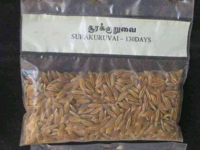 சூரக்குறுவை நெல்