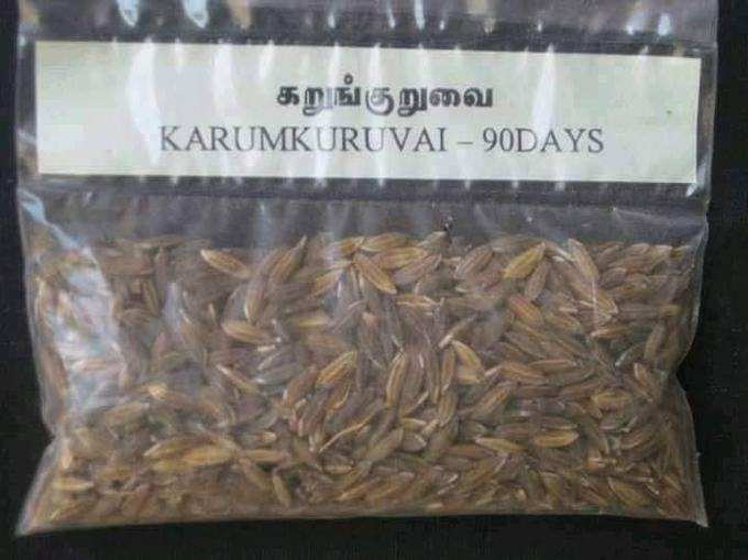 கறுங்க்குறுவை