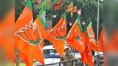 bjp: या मुद्द्यांमुळे बसला भाजपला फटका