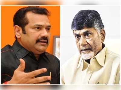 Telangana Elections: తెలంగాణలో సౌండ్‌ మాత్రమే.. ఏపీలో బాబుకు రీసౌండే: చిన్ని కృష్ణ