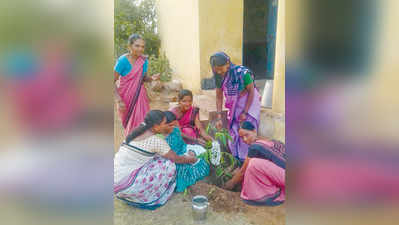 ಸಸಿ ನೆಟ್ಟು ಶಿಶುವಿನಂತೆ ಪೋಷಿಸಿ ಬೆಳೆಸಿ