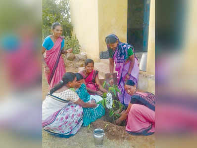 ಸಸಿ ನೆಟ್ಟು ಶಿಶುವಿನಂತೆ ಪೋಷಿಸಿ ಬೆಳೆಸಿ