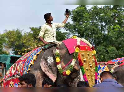 கோலாகலமாக தொடங்கிய 48 நாட்கள் நடக்கும் யானைகள் நலவாழ்வு புத்துணர்வு முகாம்!