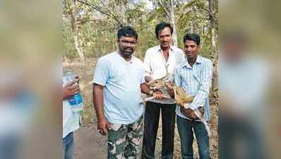 ನಾಯಿಗಳಿಂದ ಜಿಂಕೆ ಮರಿ ರಕ್ಷಣೆ